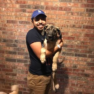 Meet your Posher, Joey